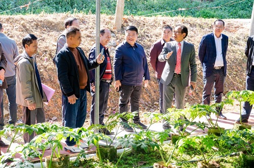 参观种植基地.jpg