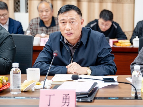 丁勇讲话.jpg 丁勇讲话.jpg